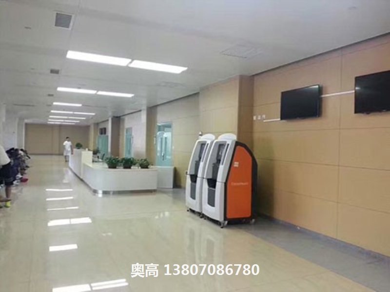 室內掛墻定制
